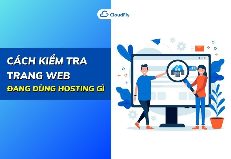 cách kiểm tra trang web đang dùng hosting gì