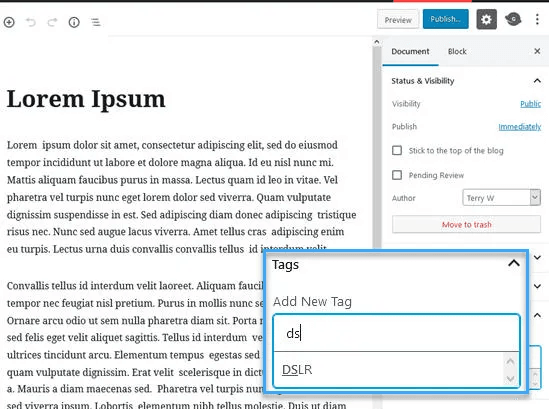 cách thêm tag trong wordpress 2