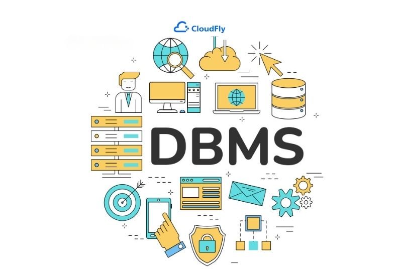 cấu trúc của dbms bao gồm những gì