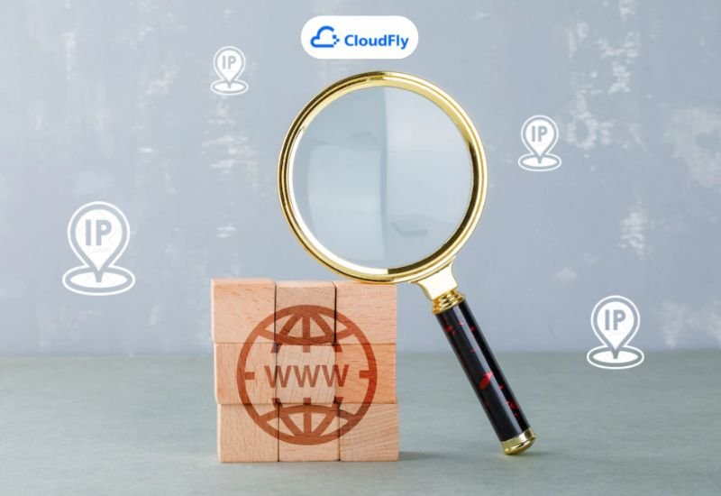 check domain ip
