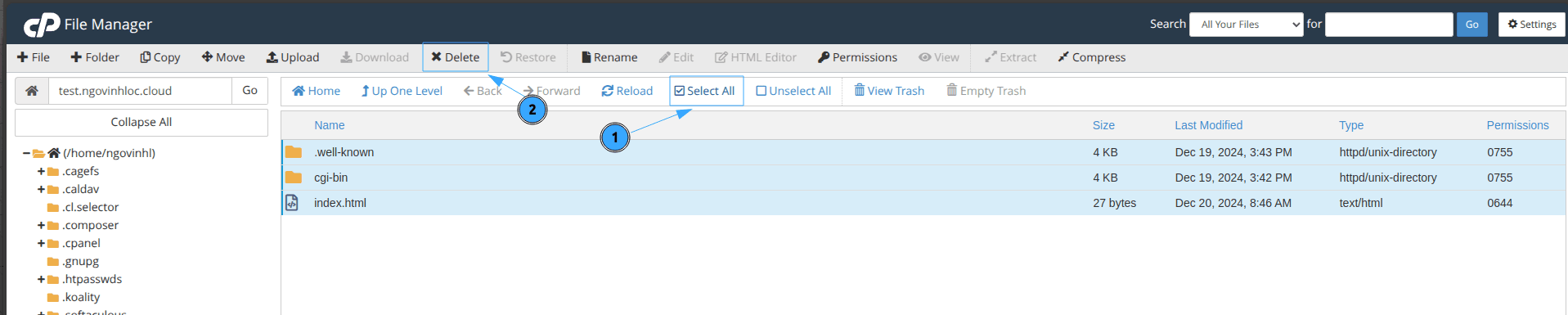 hướng dẫn cách xóa mã nguồn khỏi hosting cpanel 3