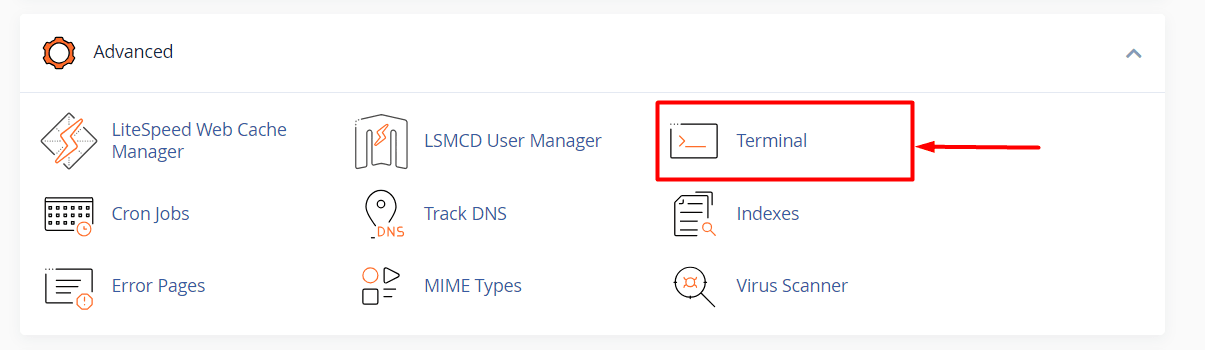 hướng dẫn kích hoạt sshshell access trong cpanel 11
