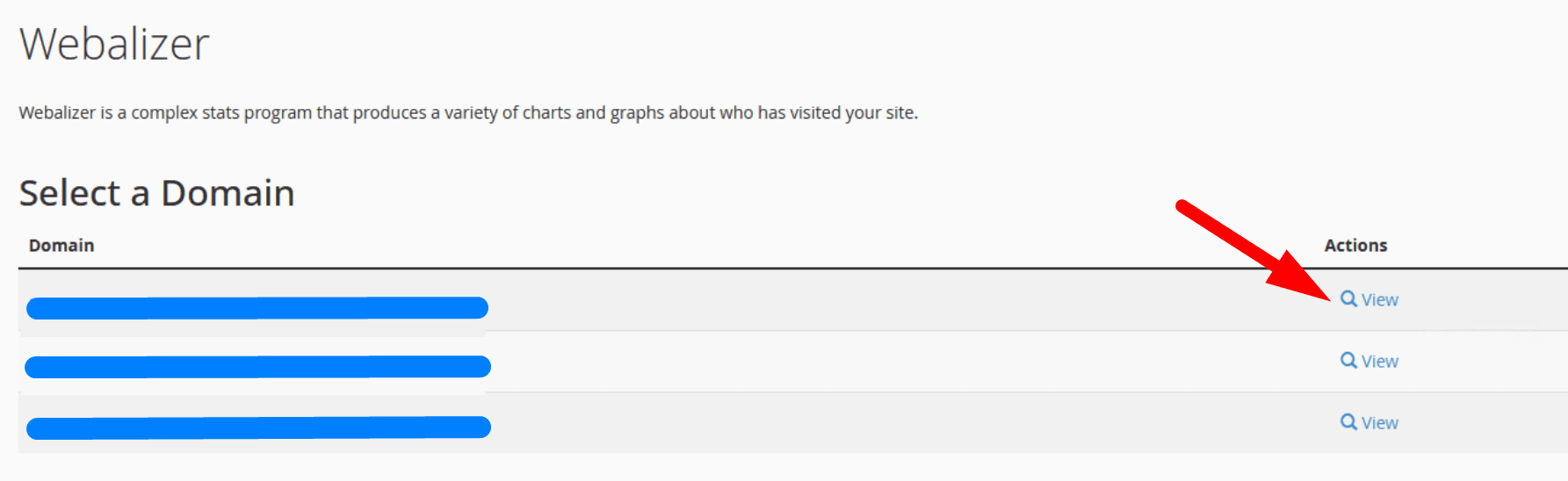 hướng dẫn xem biểu đồ webalizer trên cpanel hosting chi tiết 2
