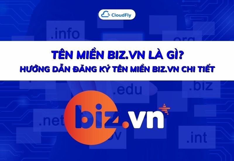 tên miền bizvn là gì