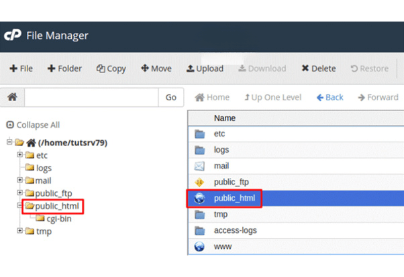 up source lên host qua file manager 4