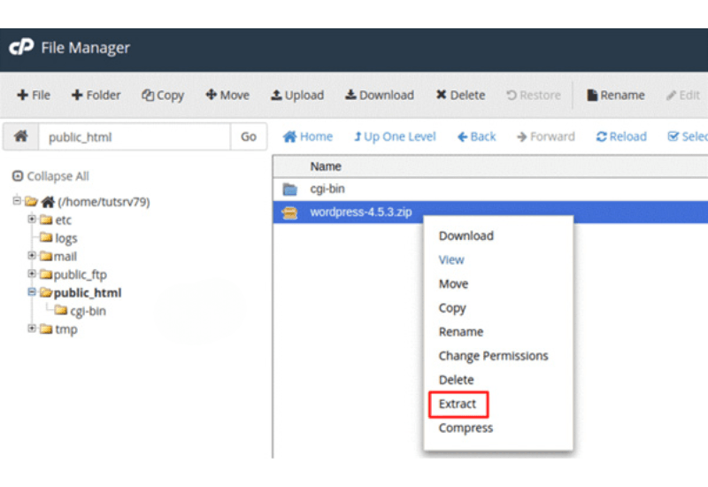 up source lên host qua file manager 6