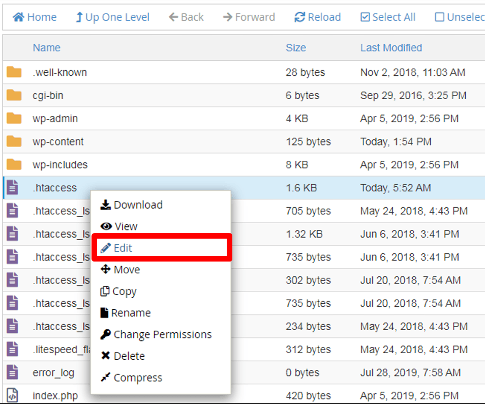 cách chỉnh sửa file htaccess thông qua file manager trong cpanel 4