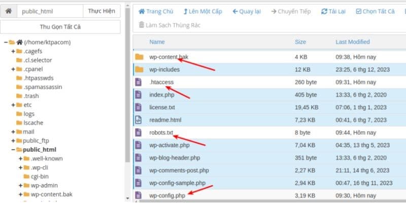 hướng dẫn khắc phục lỗi 500 internal server error trên hosting wordpress 4