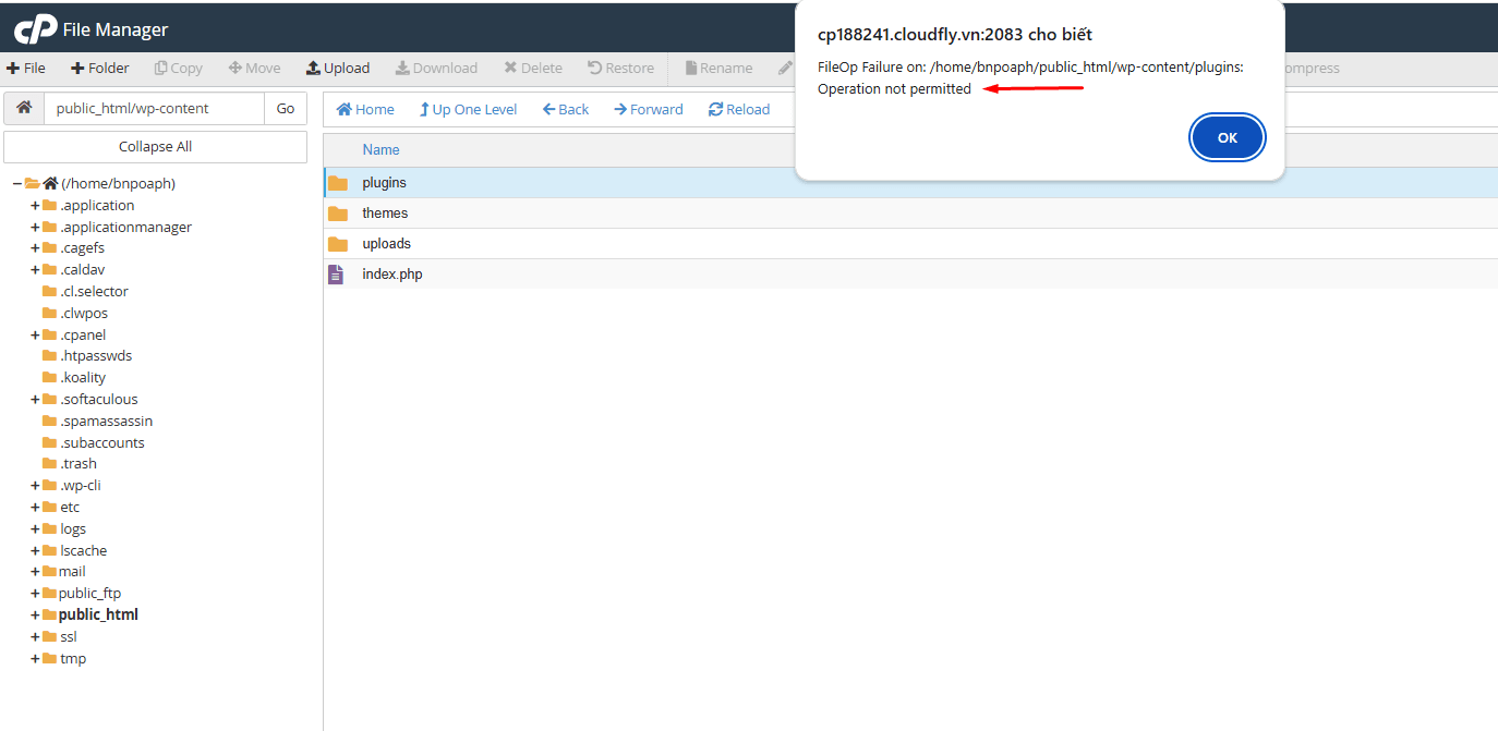 hướng dẫn sử dụng tính năng secure folder trên cloud hosting tại cloudfly 7