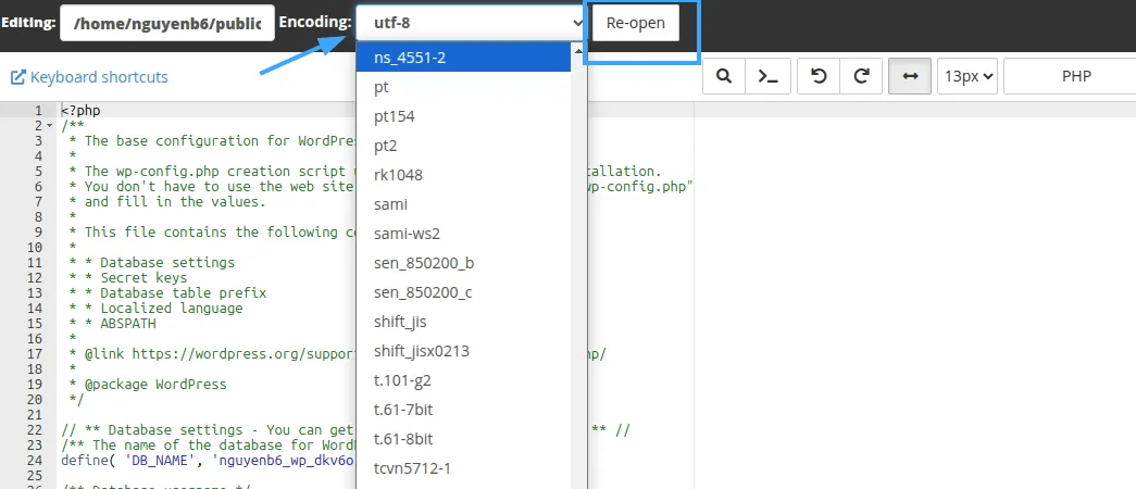 hướng dẫn thay đổi mã hóa ký tự với character encoding trong cpanel 6